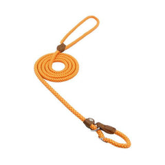 Nylon Dog Collar & Leash Set – Adjustable Pup Set for Small to Large Dogs