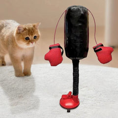 cat boxing toy