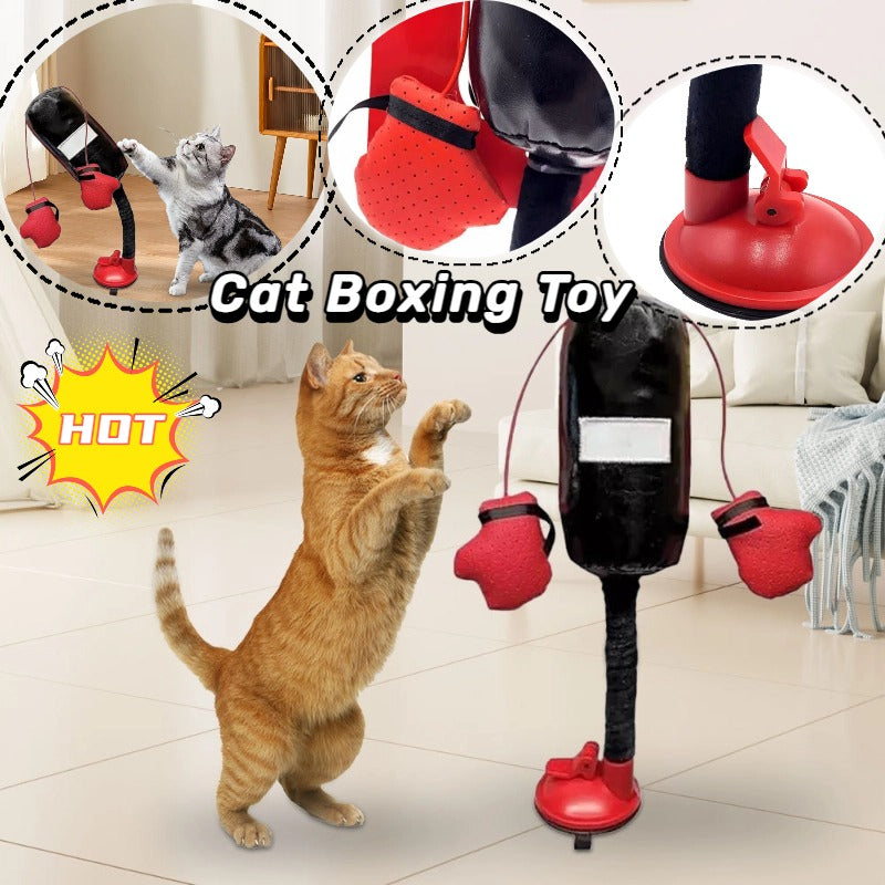 Interactive Cat Boxing Toy for Cats – Punching Bag with Plush Gloves