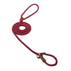Nylon Dog Collar & Leash Set – Adjustable Pup Set for Small to Large Dogs