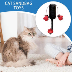 Interactive Cat Boxing Toy for Cats – Punching Bag with Plush Gloves