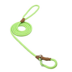 Nylon Dog Collar & Leash Set – Adjustable Pup Set for Small to Large Dogs