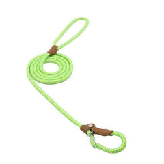 Nylon Dog Collar & Leash Set – Adjustable Pup Set for Small to Large Dogs