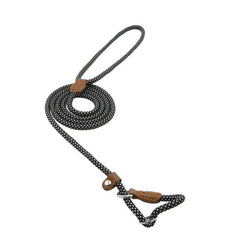 Nylon Dog Collar & Leash Set – Adjustable Pup Set for Small to Large Dogs
