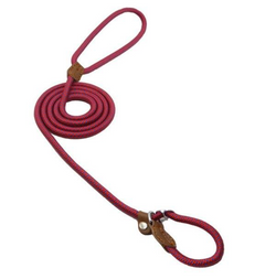 Nylon Dog Collar & Leash Set – Adjustable Pup Set for Small to Large Dogs
