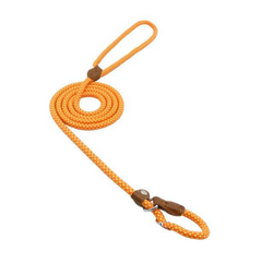 Nylon Dog Collar & Leash Set – Adjustable Pup Set for Small to Large Dogs