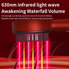 LED Scalp Care & Massage Comb