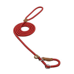Nylon Dog Collar & Leash Set – Adjustable Pup Set for Small to Large Dogs