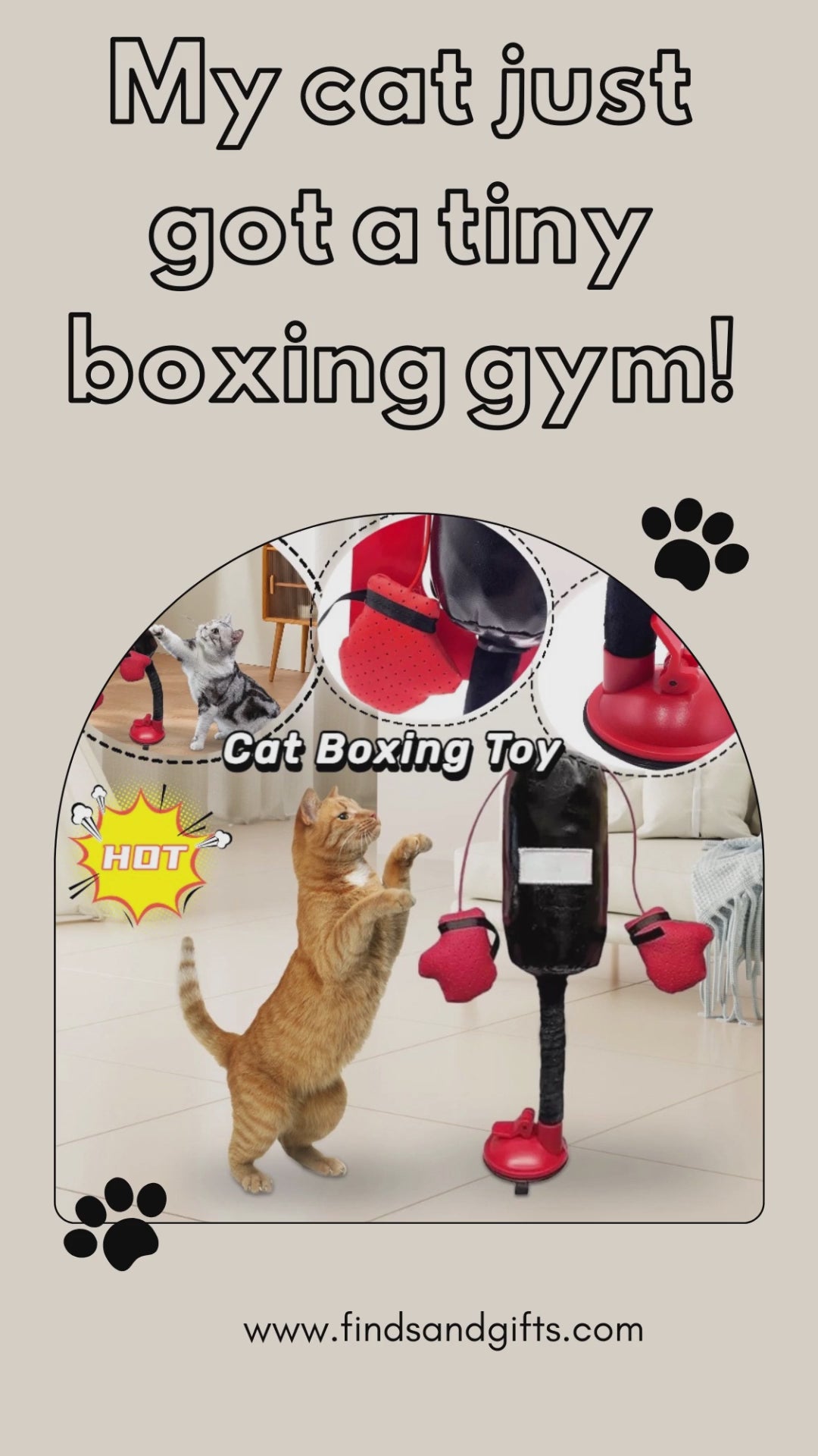 Interactive Cat Boxing Toy for Cats – Punching Bag with Plush Gloves
